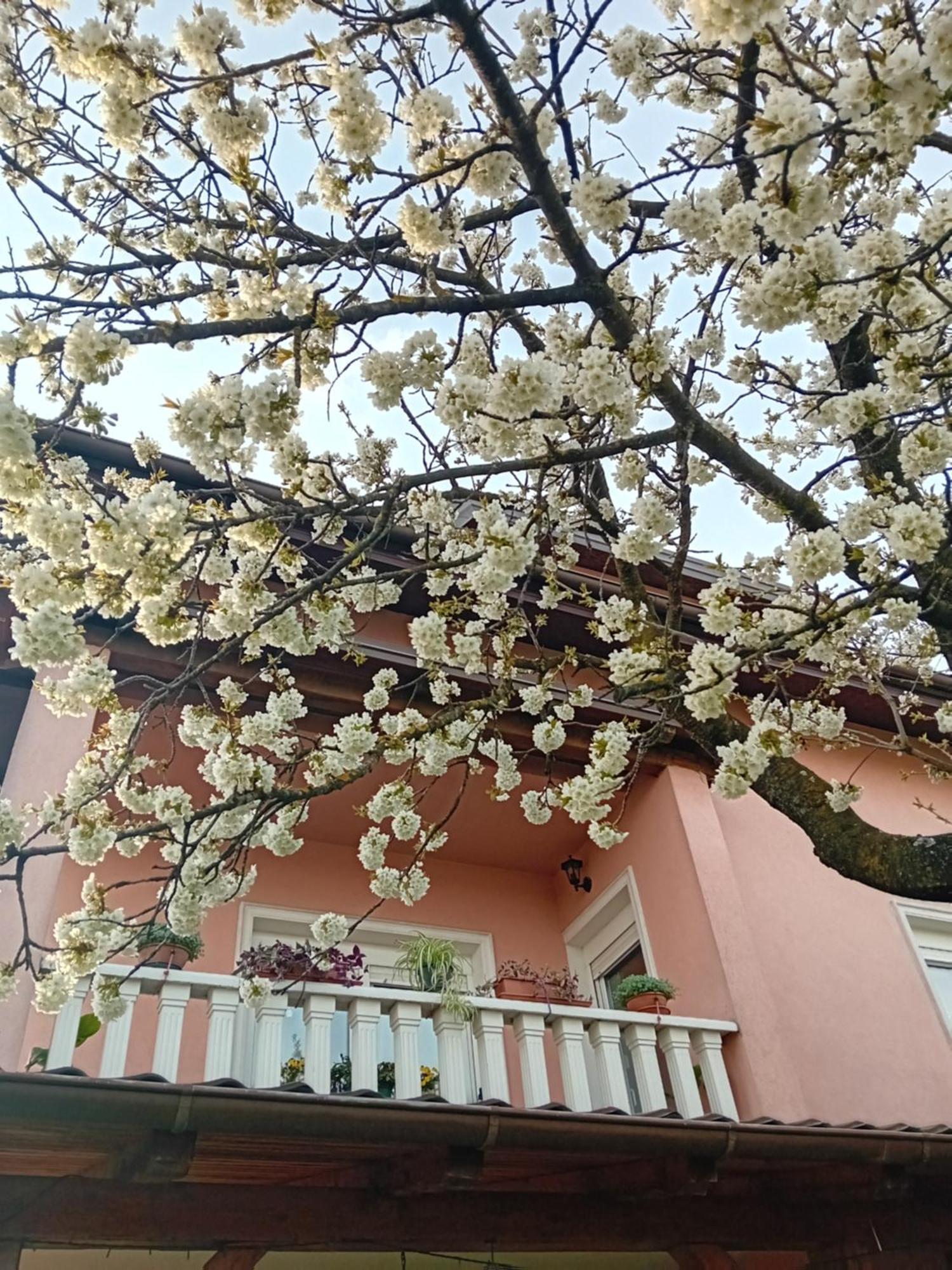 Apartman Nada Krapina Exterior foto
